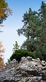 wbgarden alps 136